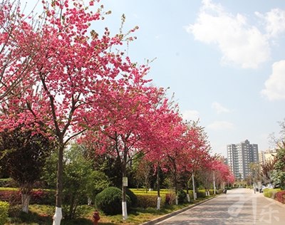 珠海市特殊教育學校